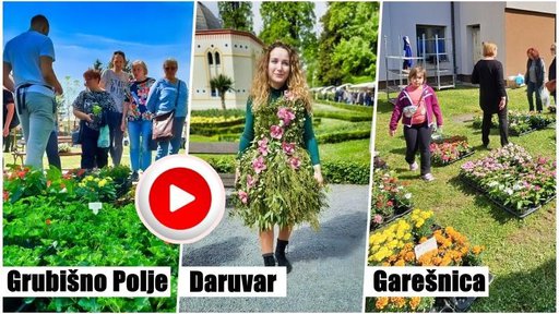 CVJETNI RAJ Gotovo 60.000 ljudi pogledalo videa sa sajmova cvijeća u BBŽ-u na MojPortal.hr