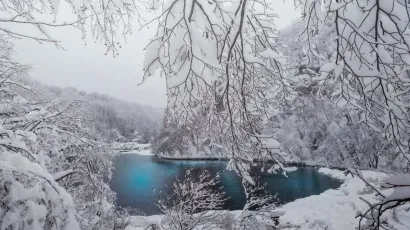 Izložba &Scaron;uma okom &scaron;umara