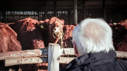 Najvi&scaron;i iznos potpore po korisniku iznosi 100 tisuća eura/Foto: Danijel Soldo/CROPIX