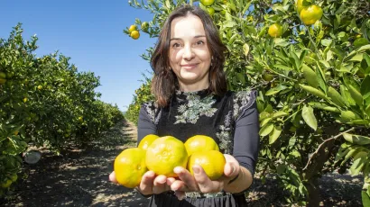 Ministrica poljoprivrede Marija Vučković snimljena tijekom nedavne berbe mandarina/Denis Jerković/CROPIX