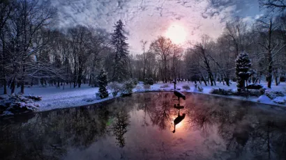 Sivi ždral (grus grus) nekad je živio u cijeloj Europi, danas samo u Skandinaviji i iza Urala. U Daruvaru se ipak može vidjeti&hellip;/Foto: Tony Hnojčik