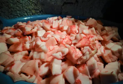 KORONA KOLINJE: Tužno je ovo, nas dvojica sami, a inače bi nas ovdje bilo barem deset...