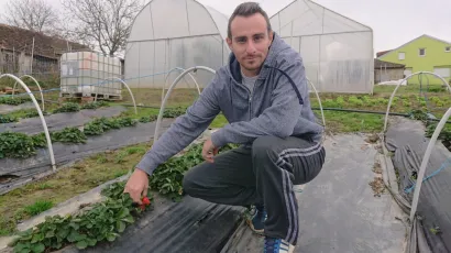 Matija Brinjak, 30-godi&scaron;nji vlasnik OPG "Brinjak" iz Velikog Banovca kod Pakraca pokraj svojih jagoda / Foto: Mario Barać