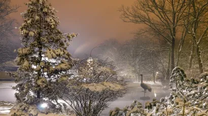 Bijela bajka u Julijevom parku u Daruvaru/Foto: Daruvarske toplice