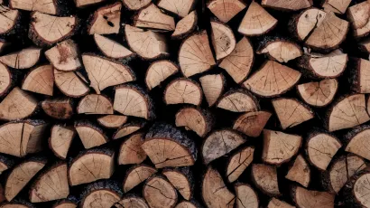 Žena je trebala dobiti 10 kubnih metara drva, a nije dobila ni&scaron;ta/Foto: Unsplash