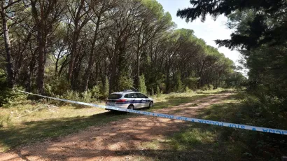 Hrvatske &scaron;ume su o krađi drva obavijestile policiju /
Foto: Luka Gerlanc/CROPIX (ilustracija)