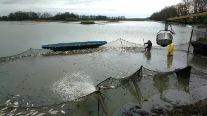 Tvrtka Ribnjačarstvo Končanica ima tradiciju dugu 120 godina i najstarije je ribnjačarstvo u Hrvatskoj/Foto: Facebook