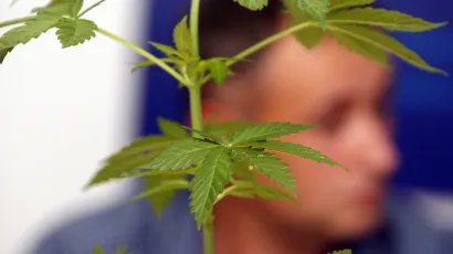 Bjelovarska policija je 2019. godine imala 18 kaznenih djela zlouporabe droge, dok je lani zabilježeno njih 55/ Foto: Željko Hajdinjak/CROPIX (ilustracija)