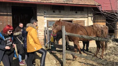 Druženje u Konjičkom klubu Garić / Foto: Janja Čaisa
