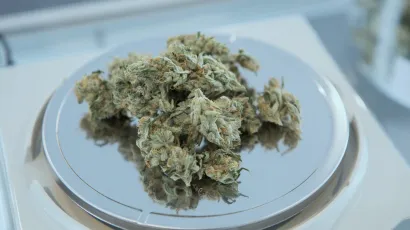 Marihuana je bačena iz auta županjskih registracija u kojem su se nalazile tri osobe/Foto:Unsplash (ilustracija)
