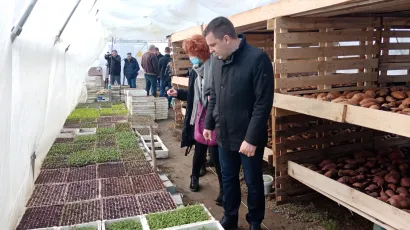 OPG Bobinac trenutno ima četiri plastenika, a zajedno s proizvodima koje uzgajaju i na vanjskim povr&scaron;inama, godi&scaron;nje proizvedu nekoliko tona povrća/Foto: Deni Marčinković