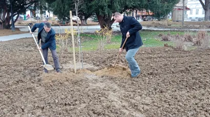 Voditelj Uprave &scaron;uma Podružnice Bjelovar Ivan Cug i bjelovarski dogradonačelnik Igor Brajdić sade Gupčevu lipu u sredi&scaron;njem bjelovarskom parku/ Foto: Deni Marčinković
