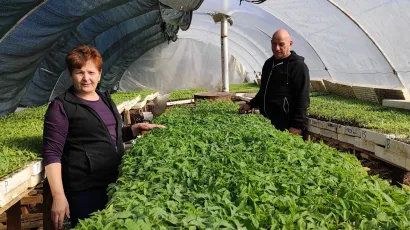 Supružnici Bedeković u jednom od obiteljskih plastenika/Foto: Martina Čapo