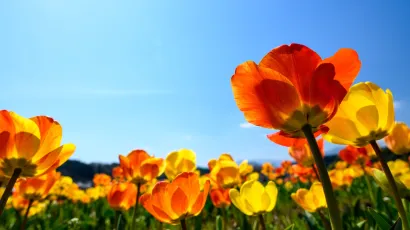 Foto: Unsplash
