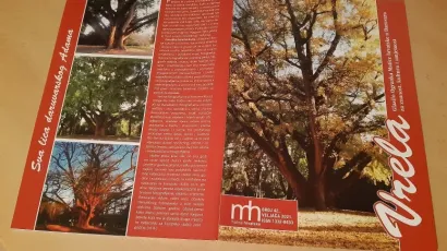 Novi broj časopisa Vrela/Foto: Mato Pejić