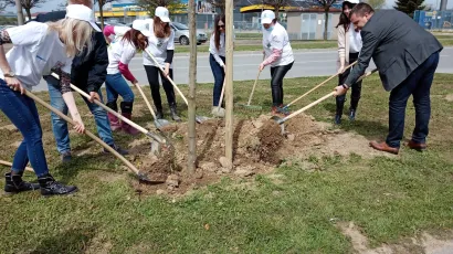 Gradonačelnik Hrebak i suradnici prilikom sadnje stabla/ Foto: Deni Marčinković