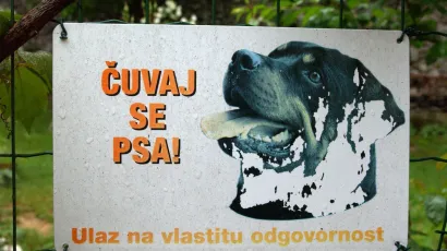 Pas je napao po&scaron;tara u mjestu Sovari kod Čazme/
Foto: Goran &Scaron;ebelić/CROPIX (ilustracija)