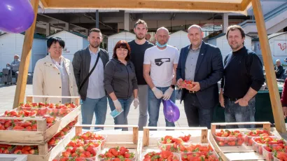 Vladimir Bilek s članovima njegove nezavisne liste u petak su dijelili jagode i prikupljali donacije za daruvarsku udrugu Korak dalje/Foto: Predrag Uskoković
