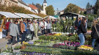 Kontinentalni cvijećari doći će izlagati u Daruvar/Foto: VisitDaruvar.hr
