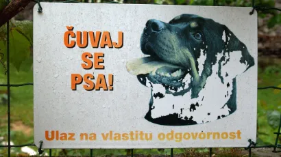 Pas je u Čazmi iza&scaron;ao iz dvori&scaron;ta i ugrizao dijete/ Foto: Goran &Scaron;ebelić/CROPIX (ilustracija)
