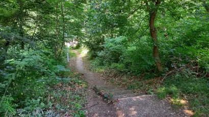 Ovako sada izgleda stazica u Rimskoj &scaron;umi/Foto: Daria Marković