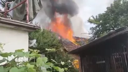Vatrogasci su, srećom, odmah do&scaron;li i u gasili požar/Foto: Screenshot