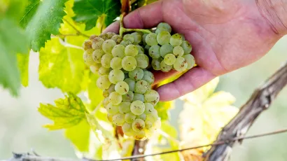 Povrat prazne ambalaže bit će parkingu teretnih vozila u Gajevoj ulici u Daruvaru/Foto: Tomislav Kristo/CROPIX