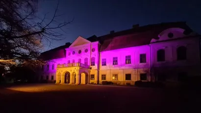 Večer vina i tamburice održat će se ispred Dvorac grofa Jankovića /Foto:Predrag Uskoković