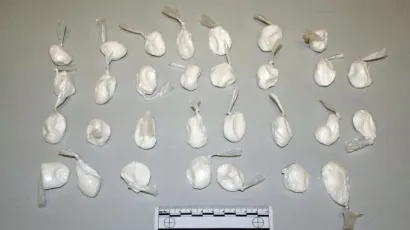 Zaplijenjeno je ne&scaron;to malo od 33 grama speeda i skoro gram marihuane/Foto: PUZ