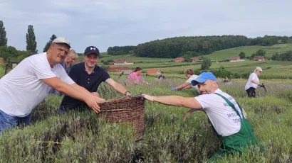 Posao nikome nije padao te&scaron;ko, berba lavande&nbsp;bila je prilika za druženje i zabavu/Foto: Martina Čapo