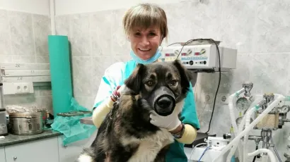 Dođite u subotu u Veterinarsku ambulantu Karaula u Daruvaru i Gare&scaron;nici/Foto: Veterinarska ambulanta Karaula