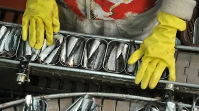 U ministarstvu poljoprivrede kažu kako je obavijest hitna, a rizik ozbiljan/Foto: Luka Gerlanc/CROPIX (ilustracija)




&nbsp;