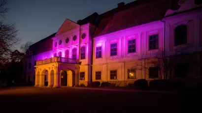 Daruvarski dvorac Jankovića u objektivu Predraga Uskokovića/Foto: Predrag Uskoković