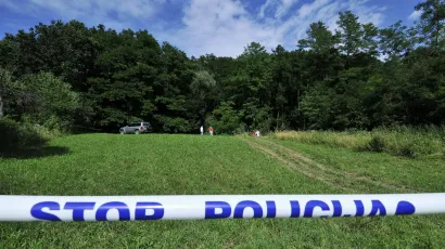 Policija traga za osobom koja je ukrala drva iz državne &scaron;ume/Foto: Boris Kovačev/CROPIX (ilustracija)