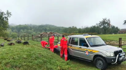 Ova akcija nažalost imala je tužan kraj/ Foto: HGSS