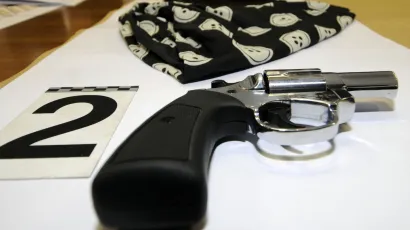 Plinski pi&scaron;tolj/Foto: Admir Buljuba&scaron;ić/CROPIX (ilustracija)