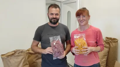 Iako se narade, Karla i Sven zadovoljni su proizvodnjom batata, kao i najnovijim postignućem - tjesteninom s batatom/Foto: Martina Čapo