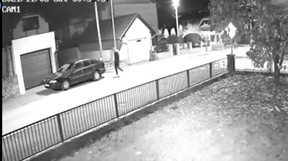 Trenutak kad lopov dolazi do vozila/Foto: SCREENSHOT