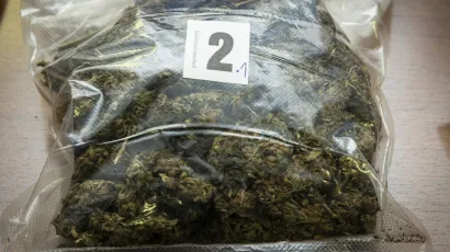 Kod mladog LIpičanina policija prona&scaron;la marihuanu/
Foto: Niksa Stipanicev/CROPIX (ILUSTRACIJA)