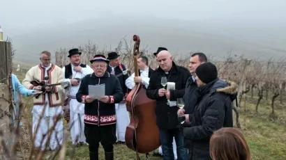 Obilježavanje Vincekova prije dvije godine/Foto: Grad Daruvar