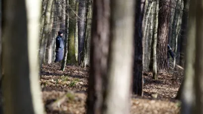 Policija traga za lopovima/ Foto: Željko Hajdinjak/Cropix (ilustracija)