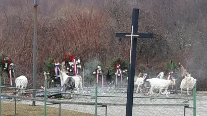 Nesvakida&scaron;nji prizor kod spomen obilježja na Bučju/Foto: Pakrački list