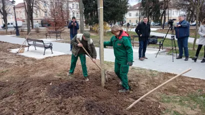 Sadnja novih stabala divljeg kestena u gradskom parku/ Foto: Deni Marčinković