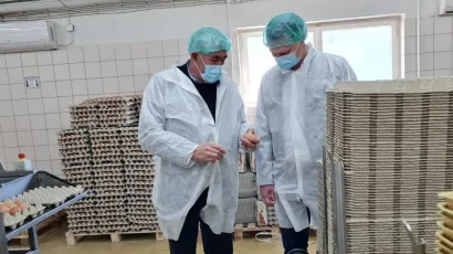 Gala godi&scaron;nje proizvede i do 50 milijuna jaja/Foto: BBŽ