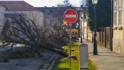 Poru&scaron;ena stabla u Starčevićevoj ulici/ Foto: Facebook