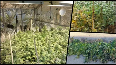 Policija je u kući u daruvarskom naselju Livade prona&scaron;la plantažu marihuane/Foto: PU Bjelovarsko-bilogorska