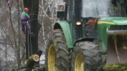 Drva su poru&scaron;ena i odvezena u nepoznato/Foto: Ranko &Scaron;uvar/CROPIX (ilustracija)