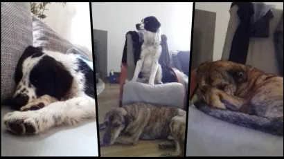 Foto: Privatni album