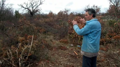 Drski lopovi poru&scaron;ili su ženi cijelu &scaron;umu/Foto: B SLAVICA (CROPIX)   