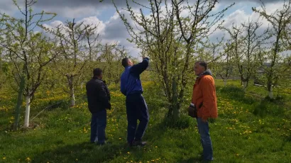 Proizvođači su zadovoljni trenutnim vremenskim uvjetima/ Foto: Deni Marčinković